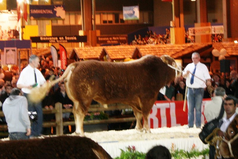 cga 2012 033.JPG